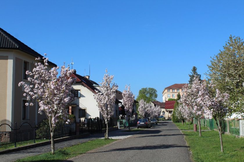 Ubytování Ježkovi